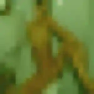 Photo de Folake à Péret (29 ans) - plan cul anonyme