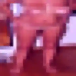 Photo exclusive de Maéva, 37 ans à Perrusson - rencontre sans lendemain