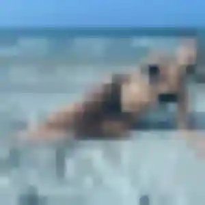 Irène, 26 ans, en ligne à Peypin-d'Aigues pour une rencontre coquine