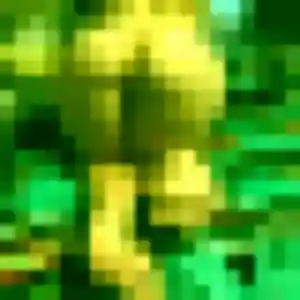 Photo exclusive de Louisette, 38 ans à Peyrins - rencontre coquine