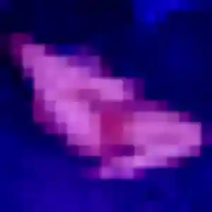 Latifa (33 ans) à Plaisance-du-Touch cherche un plan cul ce soir