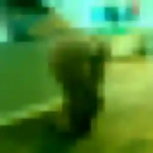 Photo sexy de Sokhna, 40 ans à Plassay - rencontre coquine