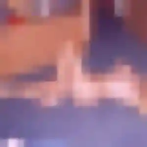 Gisèle, 42 ans, cherche un plan cul à Plélan-le-Grand