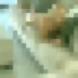 Michèle (42 ans) à Pléneuf-Val-André attend une rencontre rapidement