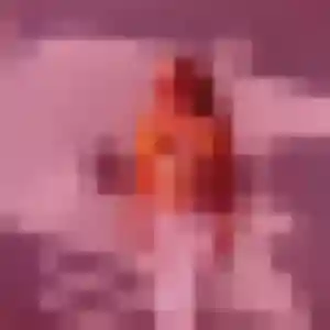 Photo privée de Yankuba, 24 ans à Plesder - rencontre coquine