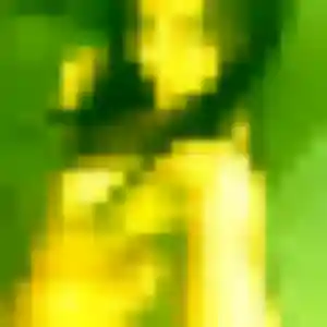 Photo de Gnima à Pleurs (43 ans) - plan cul gratuit