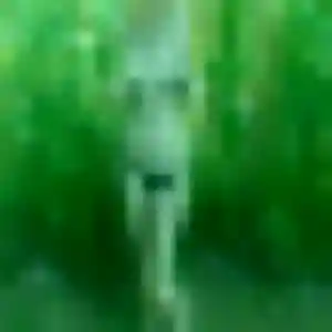 Photo perso de Mame, 34 ans à Plobsheim - rencontre coquine