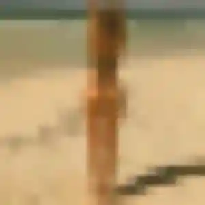 Sexy Solène, 45 ans à Ploubazlanec - voir sa photo