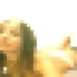 Photo privée de Oluchi, 28 ans à Plouégat-Guérand - rencontre sans lendemain