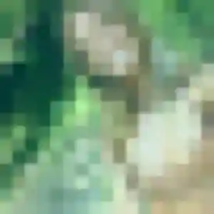 Photo perso de Arame, 34 ans à Ploumoguer - rencontre coquine