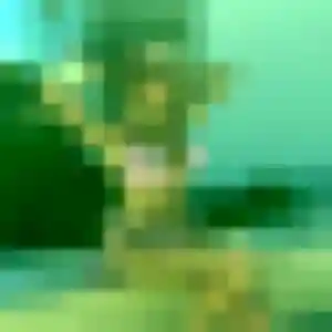 Charmante Neema, 36 ans à Plounéour-Brignogan-plages - découvrir son profil