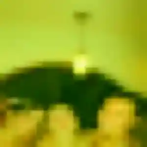 Photo de Gnima à Poggio-Mezzana (43 ans) - plan cul gratuit