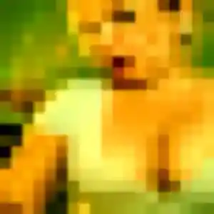 Brigitte, 22 ans, en ligne à Pont-Melvez pour une rencontre coquine