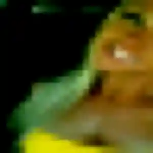Héloïse, femme de 26 ans cherche plan cul à Ponteilla