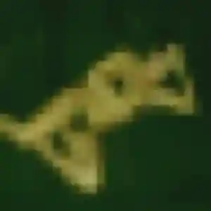 Profil de Tessa à Pontlevoy (43 ans) - plan cul gratuit