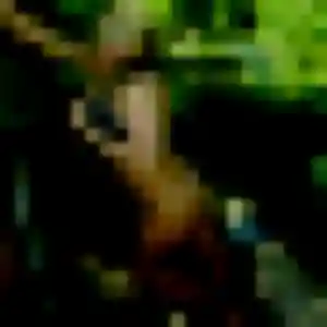 Photo perso de Naëlle, 30 ans à Préaux - plan discret