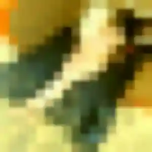 Photo de Aissatou à Prée-d'Anjou (31 ans) - plan cul anonyme