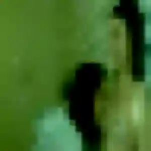 Photo de Stella à Prémontré (31 ans) - plan cul gratuit