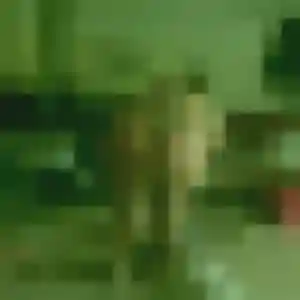 Photo de Zineb à Provin (28 ans) - plan cul gratuit