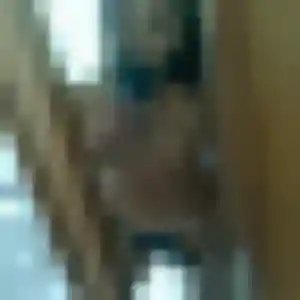 Lise (30 ans) à Pujo cherche une rencontre rapidement
