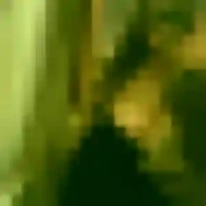 Belle Shade, 33 ans à Putanges-le-Lac - la contacter