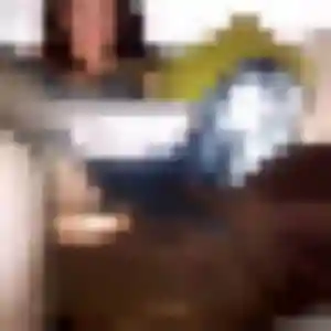 Sexy Stacy, 28 ans à Puttelange-aux-Lacs - découvrir son profil