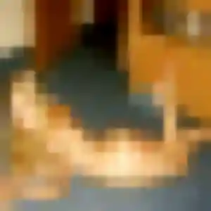 Fanny, femme de 39 ans cherche plan cul à Puylaurens