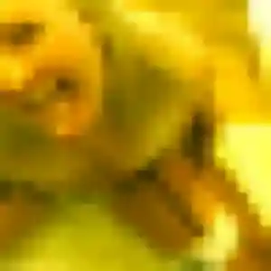 Obiageli, 33 ans, connectée à Puyravault pour une rencontre coquine