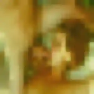 Israëlle, 22 ans, dispo pour plan cul à Réaux sur Trèfle
