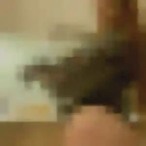 Dienaba, 42 ans, connectée à Rebais pour un plan cul