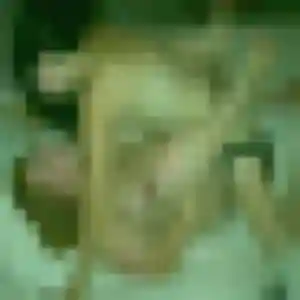 Profil de Fanta à Renwez (28 ans) - plan cul discret