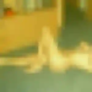 Photo de Ophélie à Reuil-en-Brie (42 ans) - plan cul anonyme
