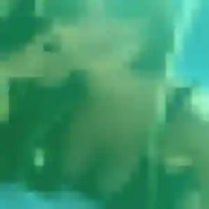 Mireille (34 ans) à Revel-Tourdan cherche un plan cul aujourd'hui