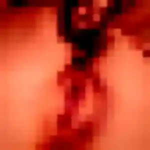 Photo de Inès à Richemont (25 ans) - plan cul gratuit