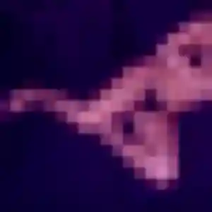Photo perso de Georgette, 33 ans à Rignieux-le-Franc - rencontre coquine