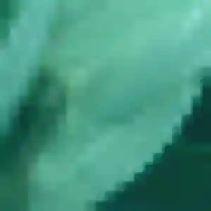 Assétou, 22 ans, dispo pour plan cul à Roaillan
