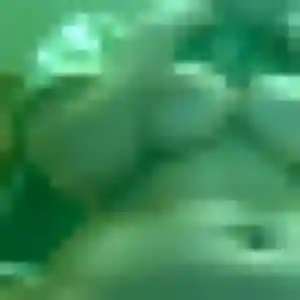 Suzanne, 28 ans, dispo pour plan cul à Rochefort-en-Yvelines