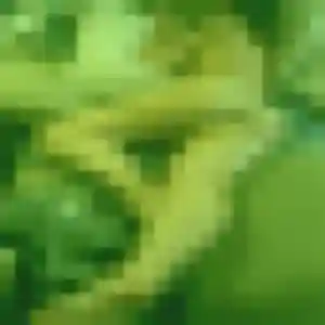 Abiodun, 42 ans, connectée à Rohan pour une rencontre coquine