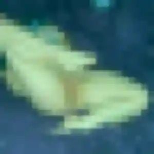Photo sexy de Gisèle, 38 ans à Romanswiller - rencontre sans lendemain
