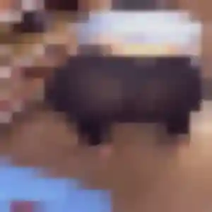 Photo privée de Mumbi, 31 ans à Roquefort-la-Bédoule - plan discret