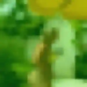 Photo de Chancelle à Roquettes (34 ans) - plan cul anonyme