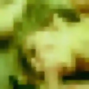 Photo de Sarjo à Rosnoën (41 ans) - plan cul gratuit