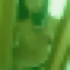 Contacte Olive, 32 ans à Rouessé-Vassé en t'inscrivant