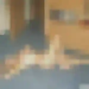 Photo exclusive de Célestine, 41 ans à Roussy-le-Village - plan discret