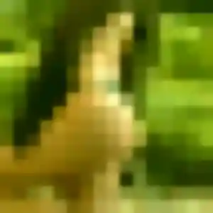 Latifa, 40 ans, en ligne à Roz-Landrieux pour une rencontre coquine