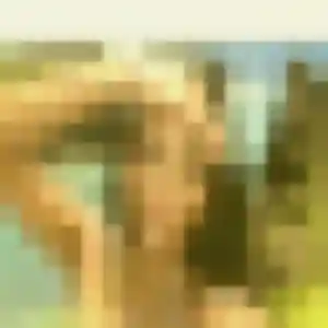 Photo exclusive de Naëlle, 38 ans à Rumegies - rencontre sans lendemain