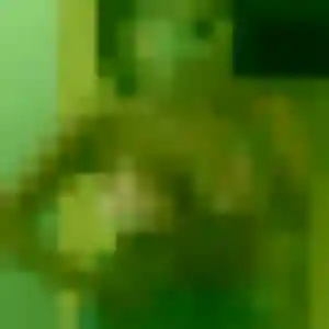 Belle Wilda, 29 ans à Sagy - voir sa photo
