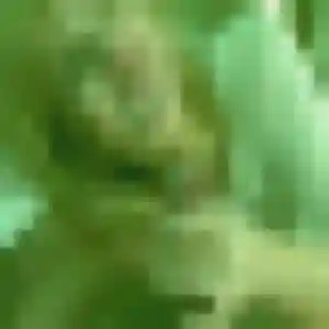 Photo perso de Félicité, 34 ans à Sainghin-en-Weppes - rencontre coquine