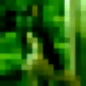 Photo de Sixtine à Saint-Baudelle (25 ans) - plan cul anonyme