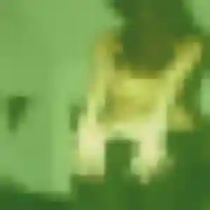 Korotoumou, 45 ans, en ligne à Saint-Bauzile pour une rencontre coquine